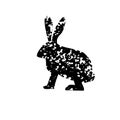 Rabbit silhouette with texure